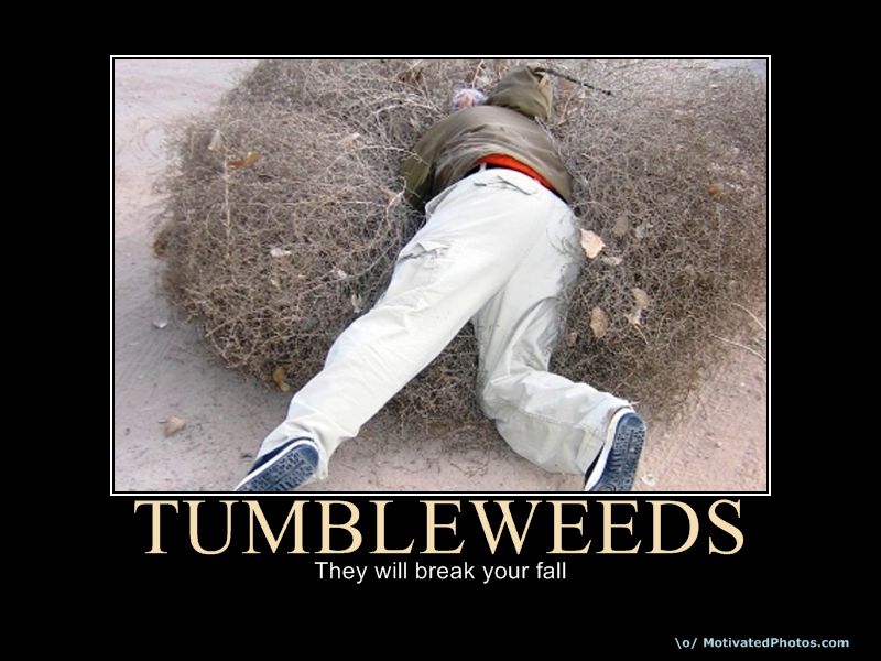 tumbleweeds.jpg